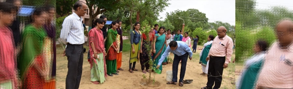 जैन विश्वभारती संस्थान के शिक्षा विभाग के तत्वावधान में संस्थान परिसर में वृक्षारोपण कार्यक्रम का आयोजन