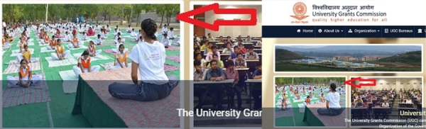जैन विश्वभारती संस्थान (मान्य विश्वविद्यालय) के योग प्रदर्शन को यूजीसी ने लिया अपनी वेबसाईट पर